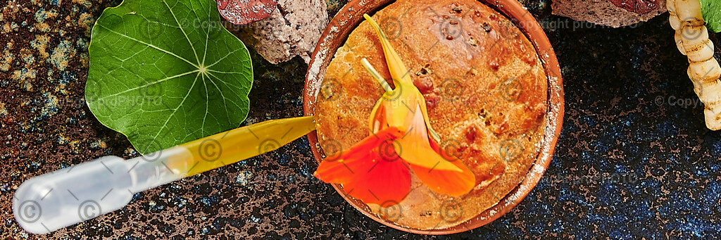 _prophoto202306_Schmauserei_food0967 1 | proPHOTO - Realisiert mit Pictrs.com