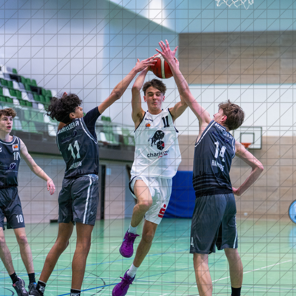 JBBL 24/25 | 02.02.2025 | Charisma Young Bulls vs. Bramfelder SV  | JBBL 24/25 | 02.02.2025 | Charisma Young Bulls vs. Bramfelder SV - - - - - CREDIT, www.bullenfotos.de, Martin König, Hörner Weg 40, D-49078 Osnabrück, +4917663732967, Nutzung und Weitergabe nur zu den vereinbarten Zwecken. Presseanfragen an Urheber. Alle Rechte beim Urheber. - - - - - - Realisiert mit Pictrs.com