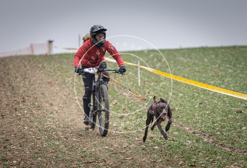 Pfotenfotografie_DV3A1082 | Hundefotografie, Tierfotograf, Pfotenfotografie, Fotoshooting Hund, Hunde Portrait, Hundesport, Hundeportraits, Heideshooting, Hunde, Sportfotograf, Hundefotograf, Turnierhundsport, THS,  - Realisiert mit Pictrs.com
