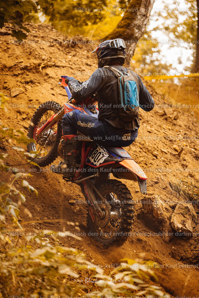 E68A4212 | blick_win_kel