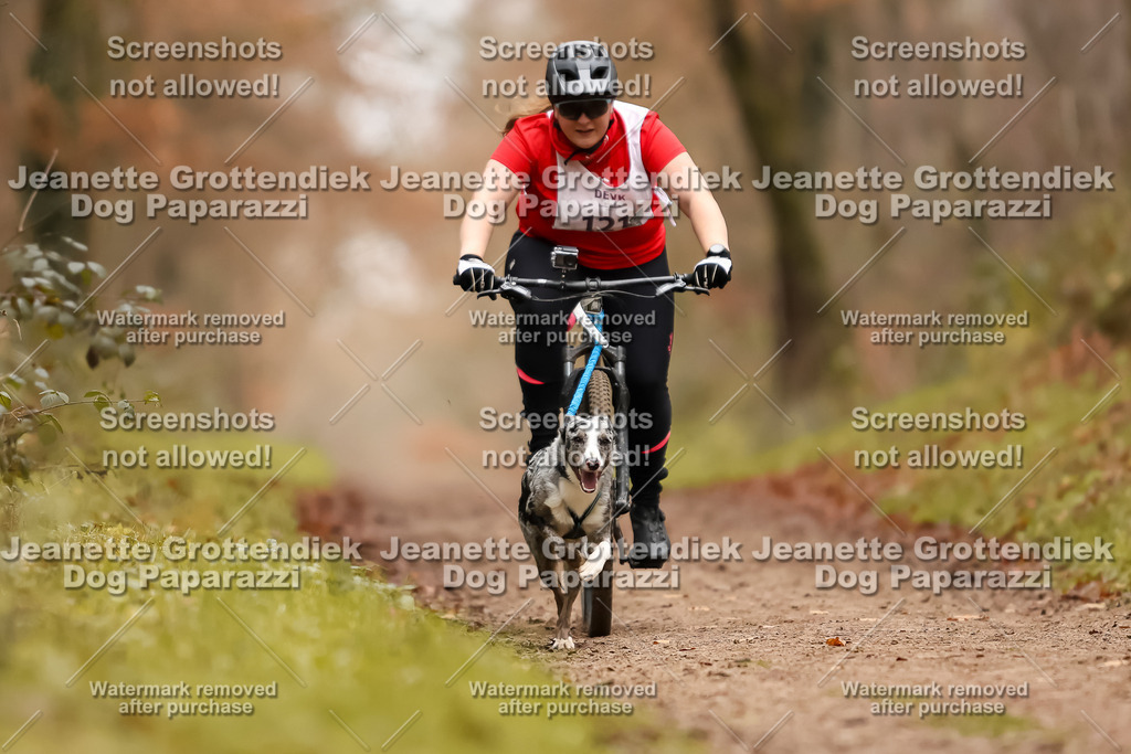 Dog Paparazzi - Speedhunter Mannheim  2025-334 | Dog Paparazzi Jeanette Grottendiek Fotografie & Videografie