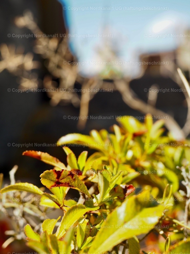 IMG_2870 | OLYMPUS DIGITAL CAMERA          - Realisiert mit Pictrs.com