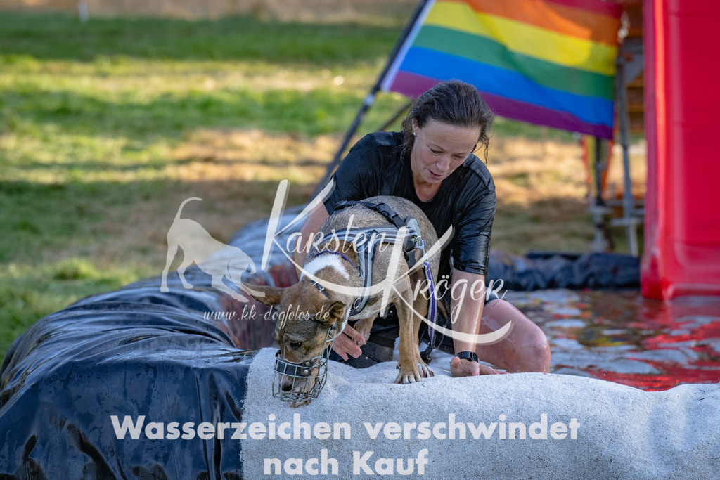 1813_ZZ91007 | kk-dogfotos