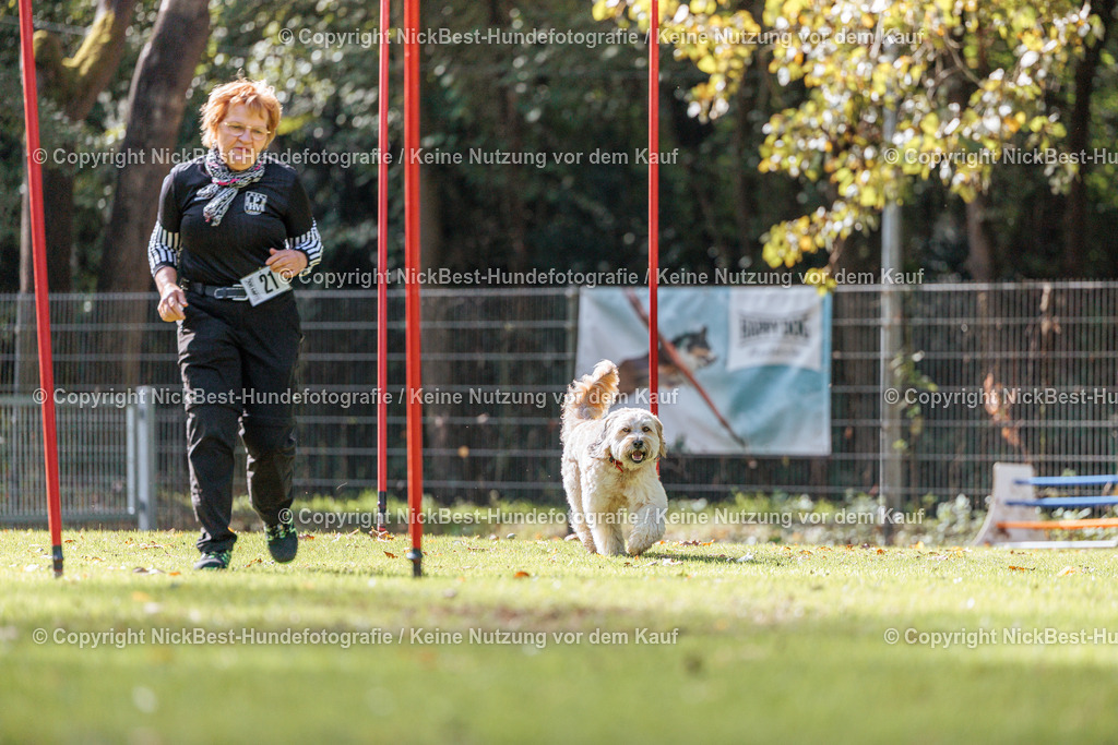 THS-HSV-Blumenthal-2026-Nickbest-Hundefotografie-2979 | Dein Hund! Dein Moment! Deine Erinnerungen! Hundefotografie in Bremen Blumenthal. Ich fange die besonderen Momente deines Vierbeiners ein – ob Indoor mit Blitzanlage oder in der freien Natur. Sicher dir dein Moment und dein Termin für eure Erinnerungen.