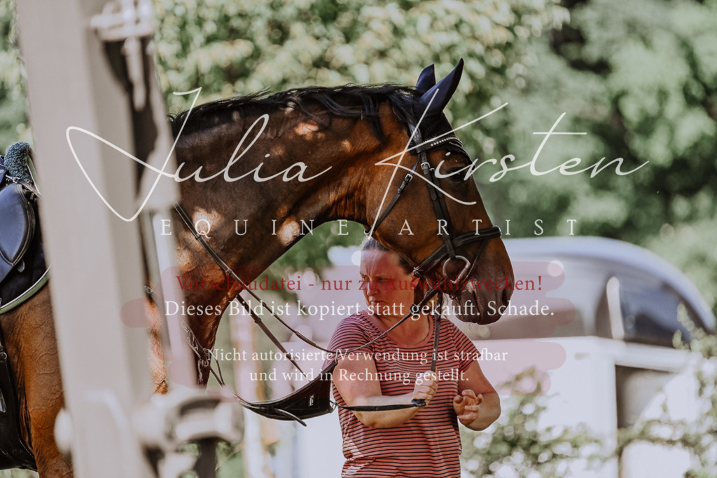 DSC_1819 | Pferde- und Turnierfotografie in Westsachsen. Pferdeportraits, Auftragszeichnungen und intuitive Kunst.