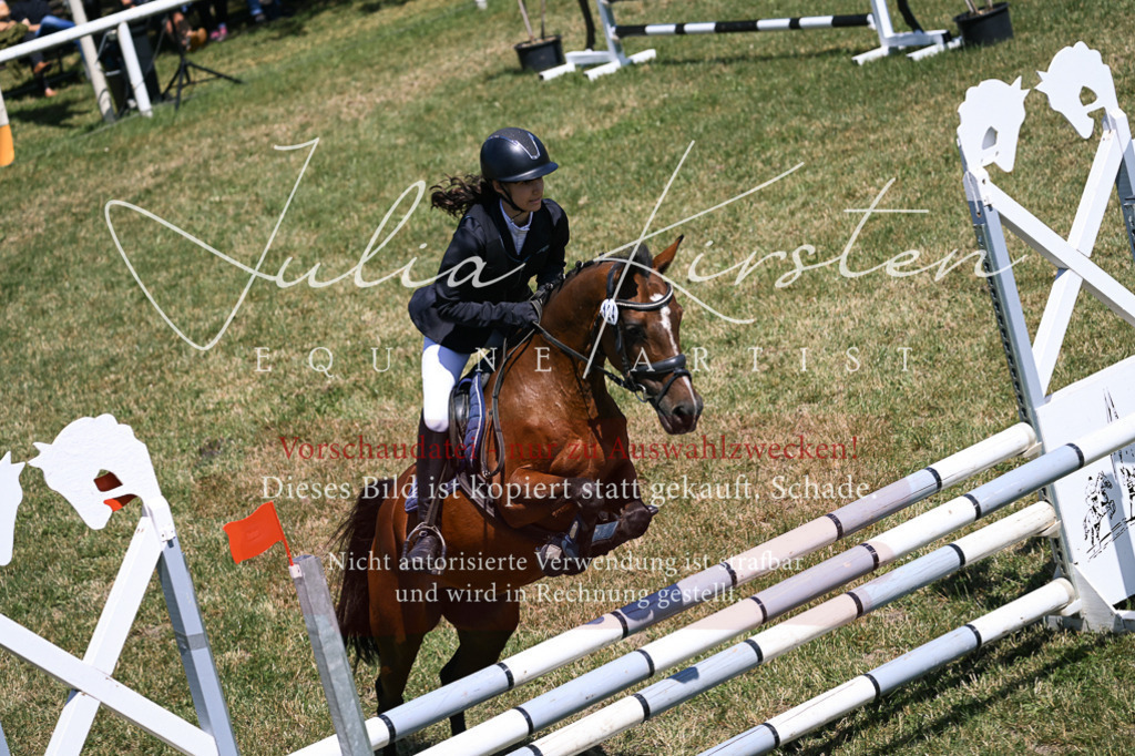 DSC_0038 | Pferde- und Turnierfotografie in Westsachsen. Pferdeportraits, Auftragszeichnungen und intuitive Kunst.