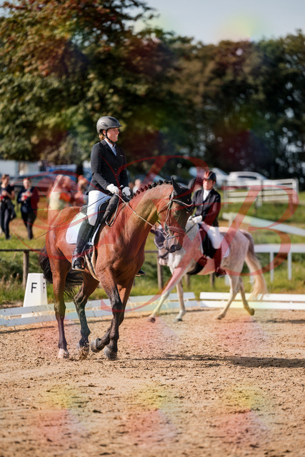 2026_10_03_Siefer-Hof_122910_Z63_50307286 | Professionelle Reitsport-, Turnier- und Eventfotografie von Robert Broda. Galerien mit ausgewählten und bearbeiteten Bildern direkt online ansehen und bestellen.