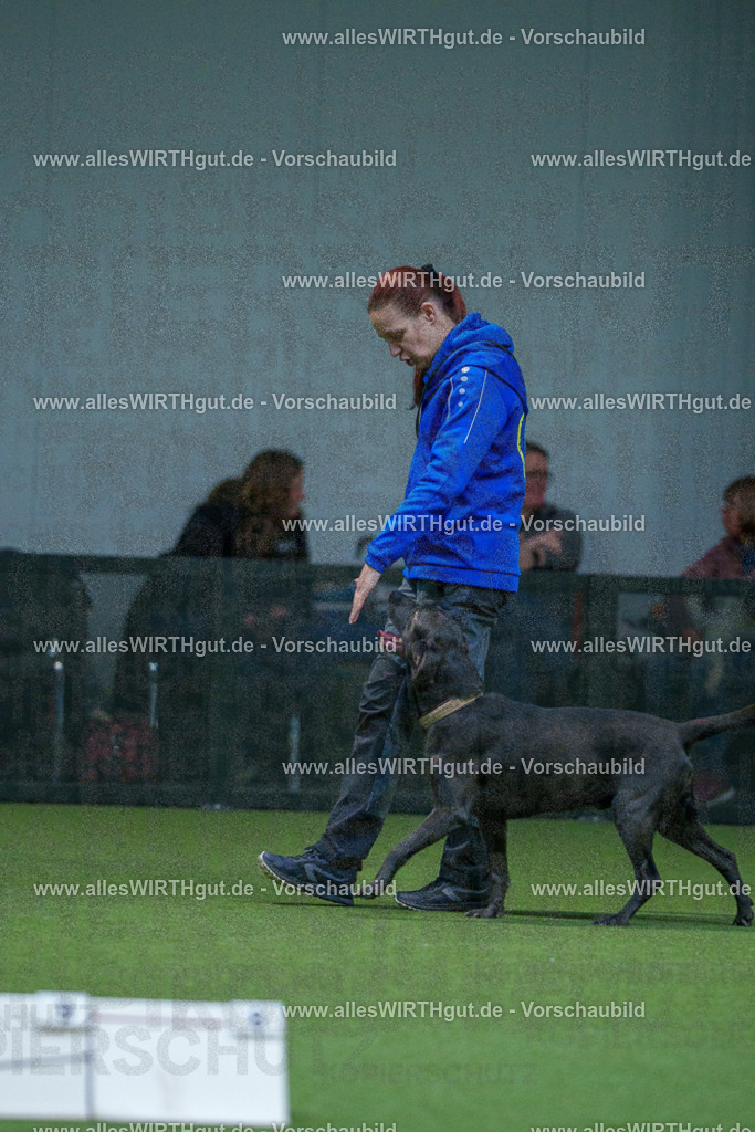 7R502449 | Professionelle Tierfotografie in Mönchengladbach von Daniel Wirth (allesWIRTHgut). Liebevolle & natürliche Bilder von Hunden & Katzen für unvergessliche Erinnerungen.