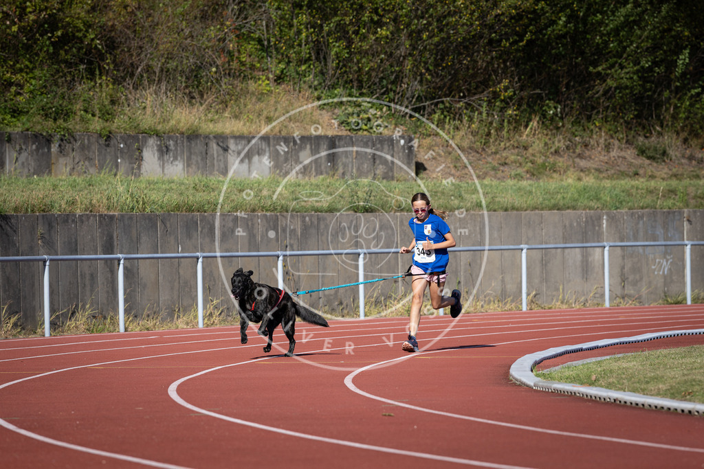 Pfotenfotografie_DV3A8607 | Hundefotografie, Tierfotograf, Pfotenfotografie, Fotoshooting Hund, Hunde Portrait, Hundesport, Hundeportraits, Heideshooting, Hunde, Sportfotograf, Hundefotograf, Turnierhundsport, THS,  - Realisiert mit Pictrs.com