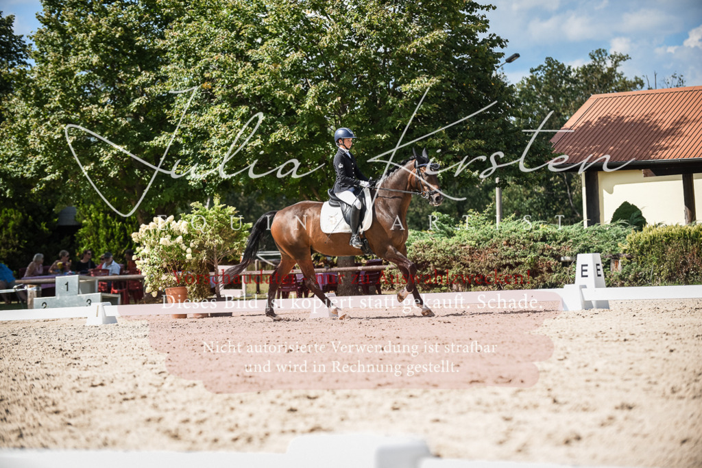 DSC_9418 | Pferde- und Turnierfotografie in Westsachsen. Pferdeportraits, Auftragszeichnungen und intuitive Kunst.