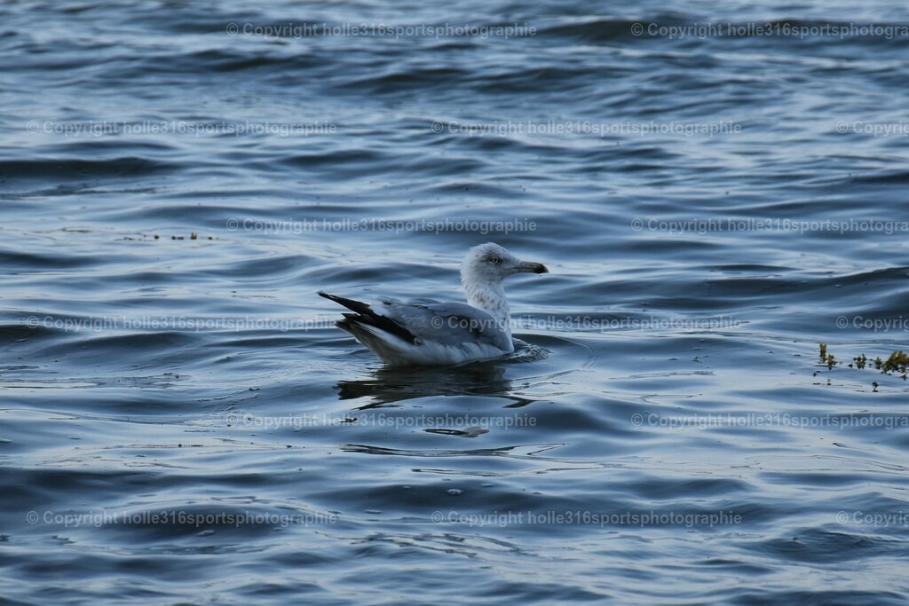 DSC_0063 (2) | Sportfotografie , Motorsport, Motoross, Reitsport, Mointainbike, Enduro,
Landschaft , Outdoor, Eventfotografie, Landschaft, Bilder online bestellen - Realisiert mit Pictrs.com