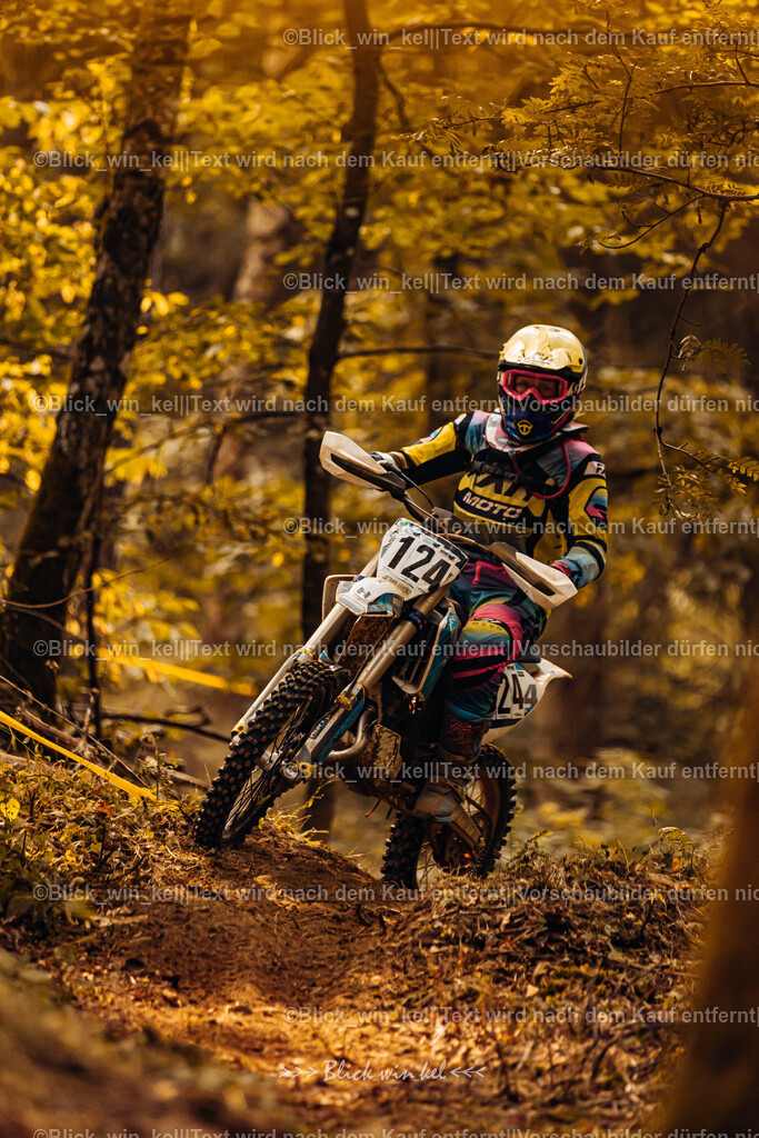 E68A3972 | blick_win_kel