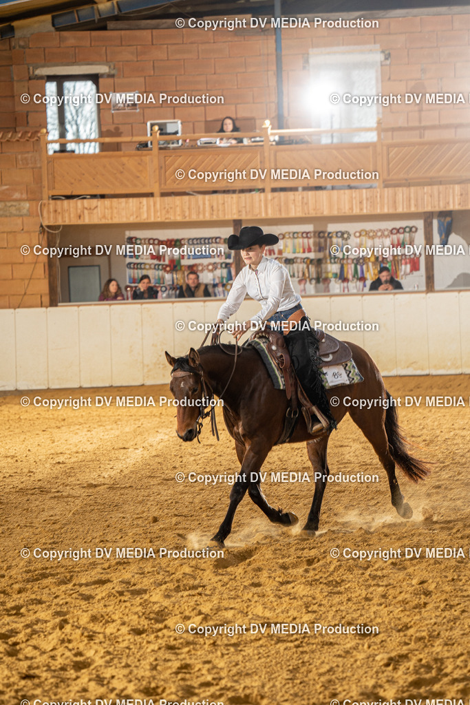 MIT00771 | dv-media-shop - Realisiert mit Pictrs.com