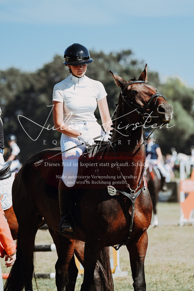 DSC_0142 | Pferde- und Turnierfotografie in Westsachsen. Pferdeportraits, Auftragszeichnungen und intuitive Kunst.
