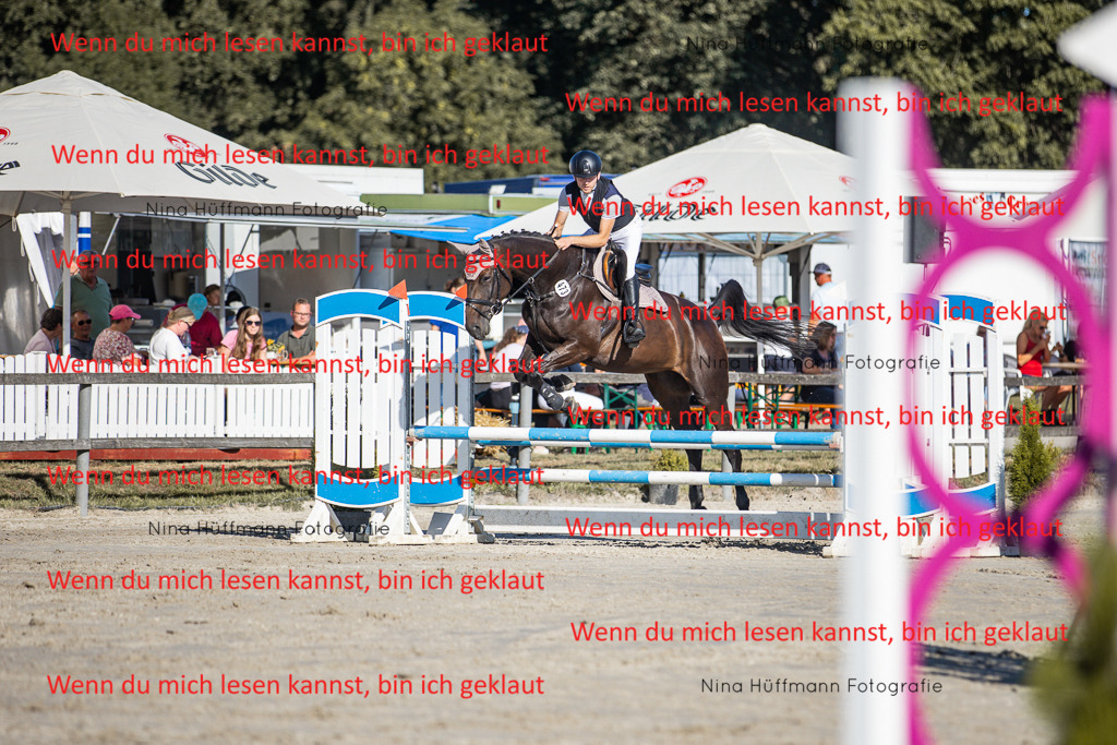 BK1A7476 | Turnierbilder Turnierfotos Nina Hüffmann Turnierfotografie Pferdefotografie Tierzeichnung Haustierzeichnung Pferdezeichnung Hundezeichnung Videograf  - Realisiert mit Pictrs.com