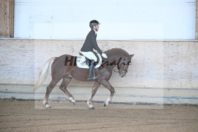 Kat-Nr. 6 Wan D or-E v. Wolf HU-A_Gruber_43250070 | hf-fotografie - Realized with Pictrs.com