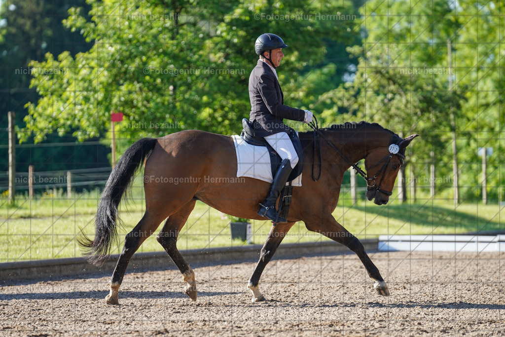 20240519-FAH04265 | Turnierbilder Niederseeon 2024, Vielseitigkeitsdressur, Reitsportbilder aus dem Landkreit Ebersberg, Gut Steinsee, RC Steinsee, Fotoagentur Herrmann