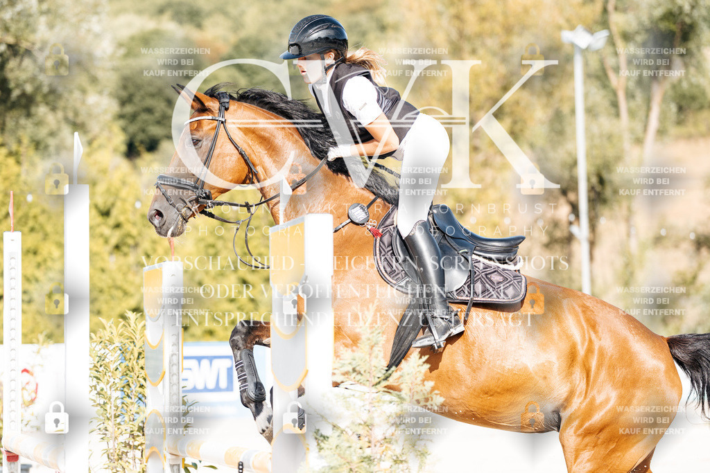 CK909481 | Turnierfotografie Pferdefotografie Trier Rheinland-Pfalz Pferdesport Reitsport Tierfotografie Sportfotografie Pferdevideo Pferdevideografie Equestrianvideography equestrianphotography  - Realisiert mit Pictrs.com