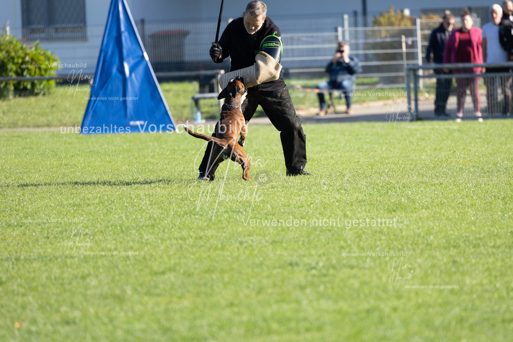 _16A5145 | Einzigartige Fotos von Hunden & Menschen –Actionfotos, Portraits, Vereinsaufnahmen & Paarshootings – authentisch, lebendig & mit Herz.