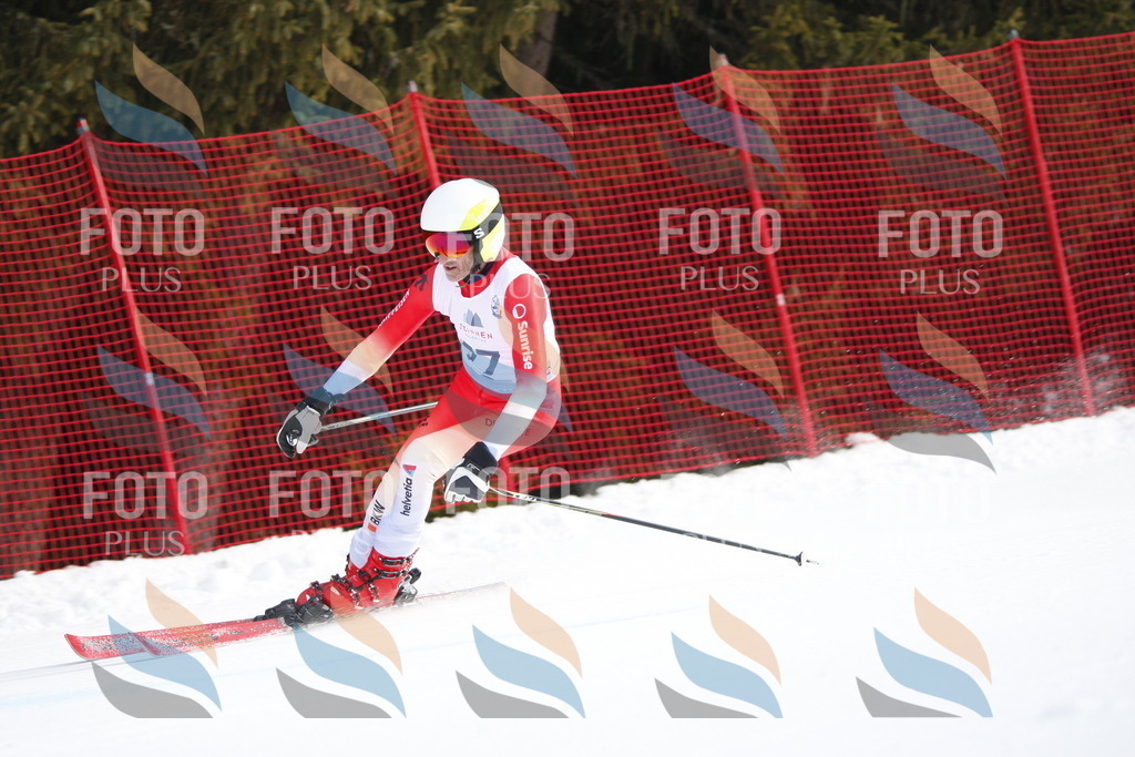 D5954 | holidayphoto