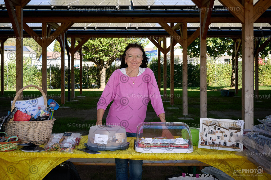 024_202509_4Hundebadetag_NZ9_2107 | proPHOTO - Realisiert mit Pictrs.com