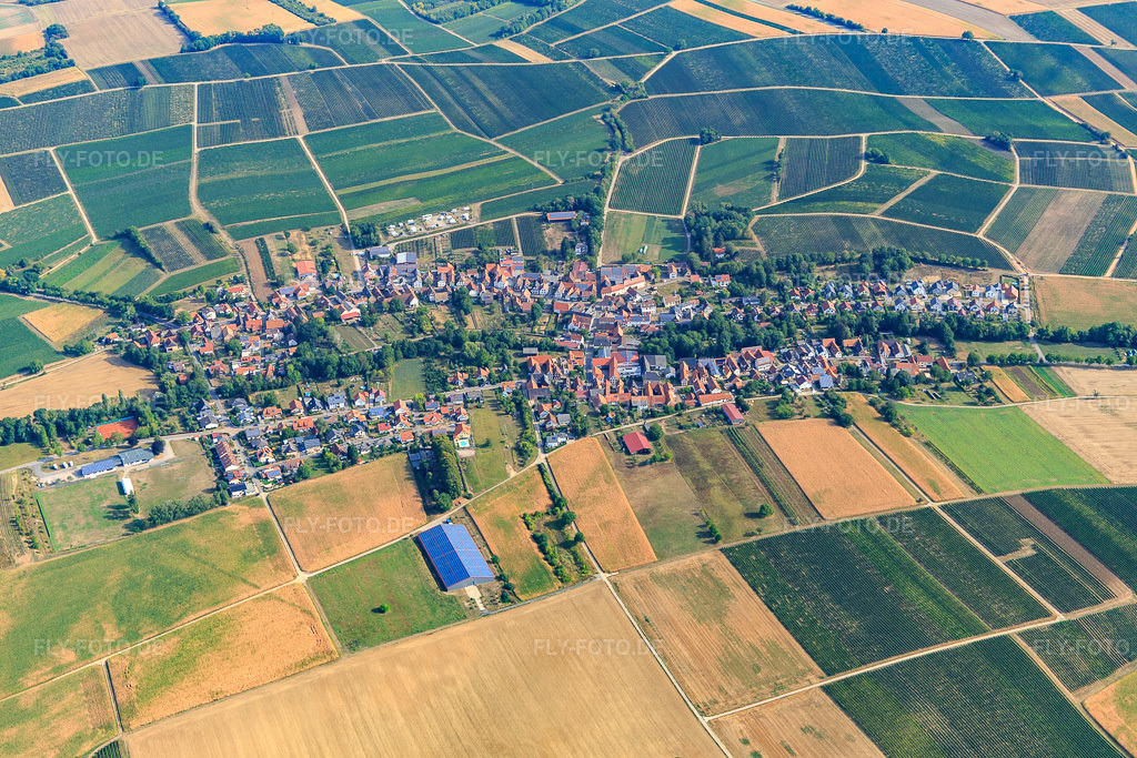 Luftbild: Ortsansicht von Süden in Dierbach im Bundesland Rheinland-Pfalz in Deutschland. Foto: IMG_134294.jpg vom 29.08.2022 durch Werner Riehm/FLY-FOTO.de
