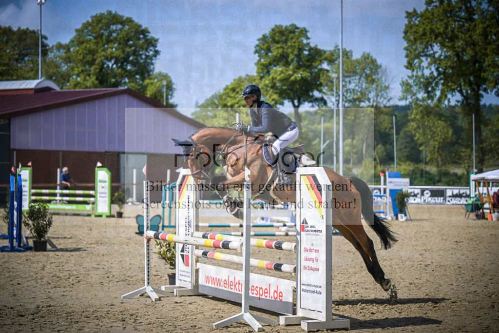 DOS_7358 | Entdecke hochwertige Reitturnierfotos von Foto Oger. Professionell, emotional und authentisch – jetzt Lieblingsmomente im Shop bestellen.Deutschlandweite Turnierfotografie. - Realisiert mit Pictrs.com