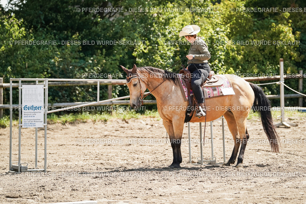 DSC06723 | Pferdegrafie