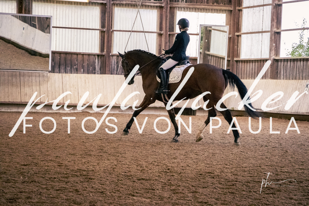 IMG_2014 | Erleben Sie dynamische Sport- und emotionale Tierfotografie in Süddeutschland mit Fotos von Paula. Spezialisiert auf Pferde- und Hundefotografie sowie Sportevents. Kontaktieren Sie mich für einzigartige und ausdrucksstarke Bilder Ihrer besonderen Momente. - Realisiert mit Pictrs.com