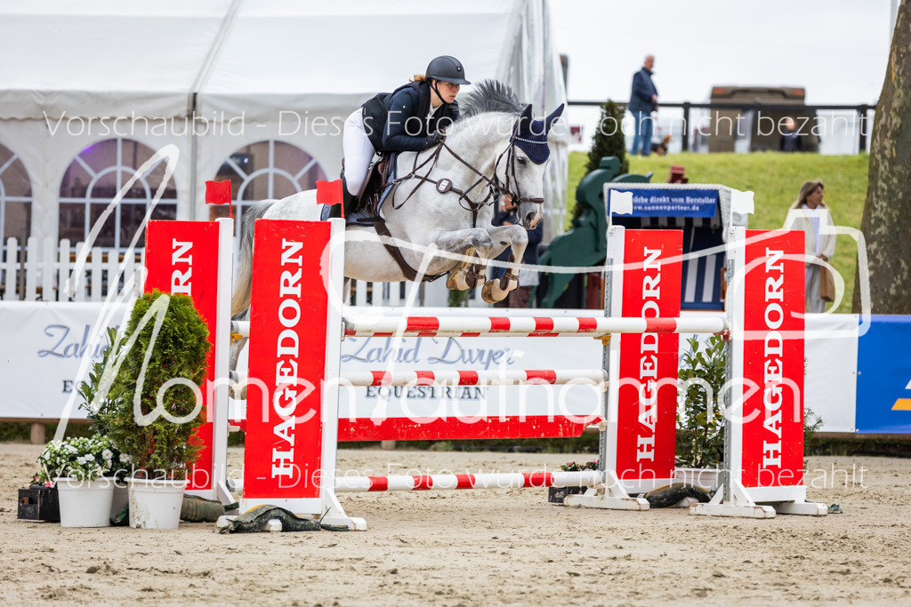 BHO-2PhSpr-M-245 | MomenTaufnahmen Pferdesportfotos