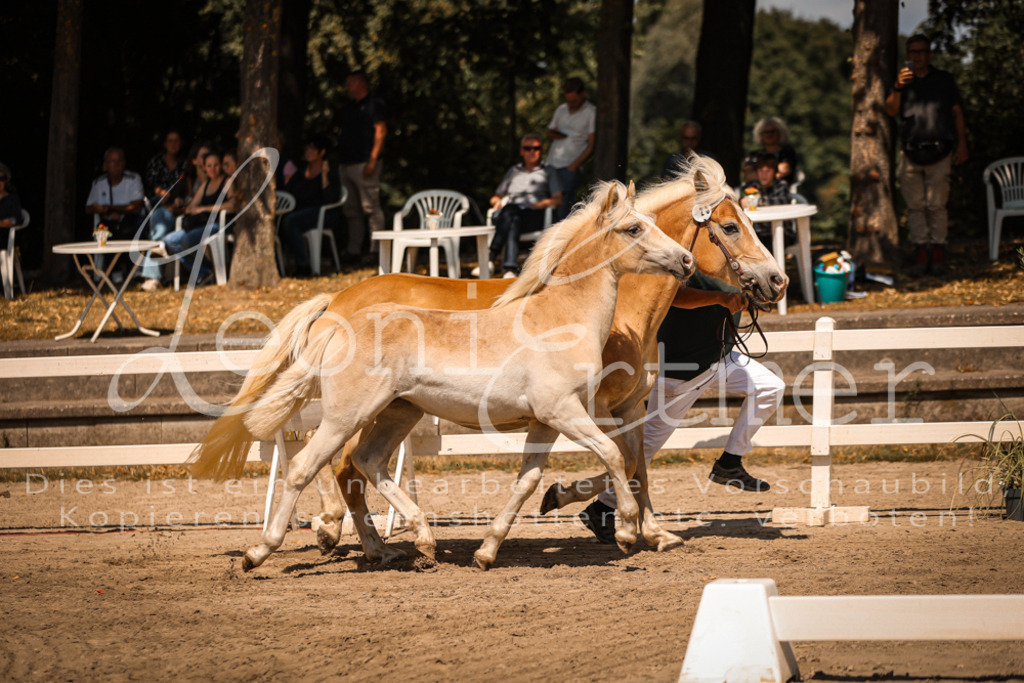 06.DoH00049 | Leoni Ertmer Photography - Realisiert mit Pictrs.com