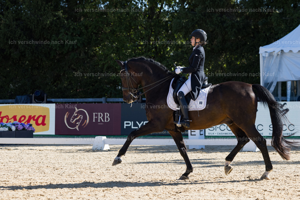 FHC2026_P07_88_17599 | working equitationturnier fotograf videograf stoibphotography marixx film working equitation deutschland reitsport turnierfotografie eventfotografie equestrian events