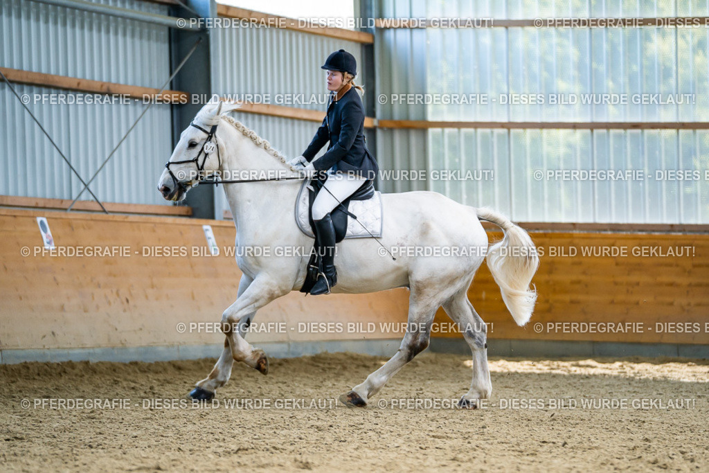 DSC05691 | Pferdegrafie