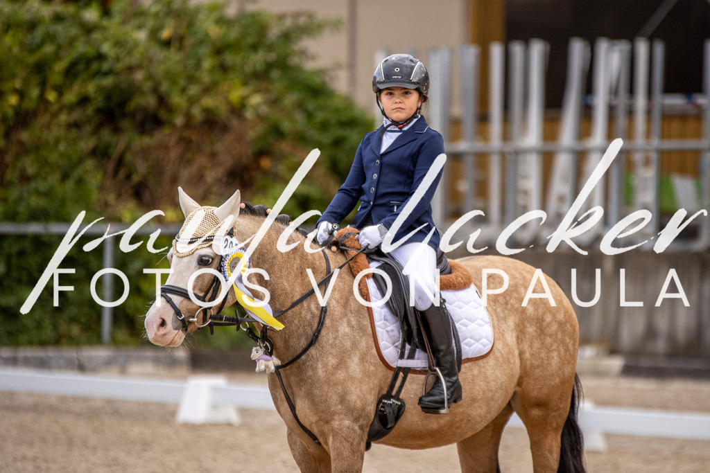 IMG_3620 | Erleben Sie dynamische Sport- und emotionale Tierfotografie in Süddeutschland mit Fotos von Paula. Spezialisiert auf Pferde- und Hundefotografie sowie Sportevents. Kontaktieren Sie mich für einzigartige und ausdrucksstarke Bilder Ihrer besonderen Momente. - Realisiert mit Pictrs.com