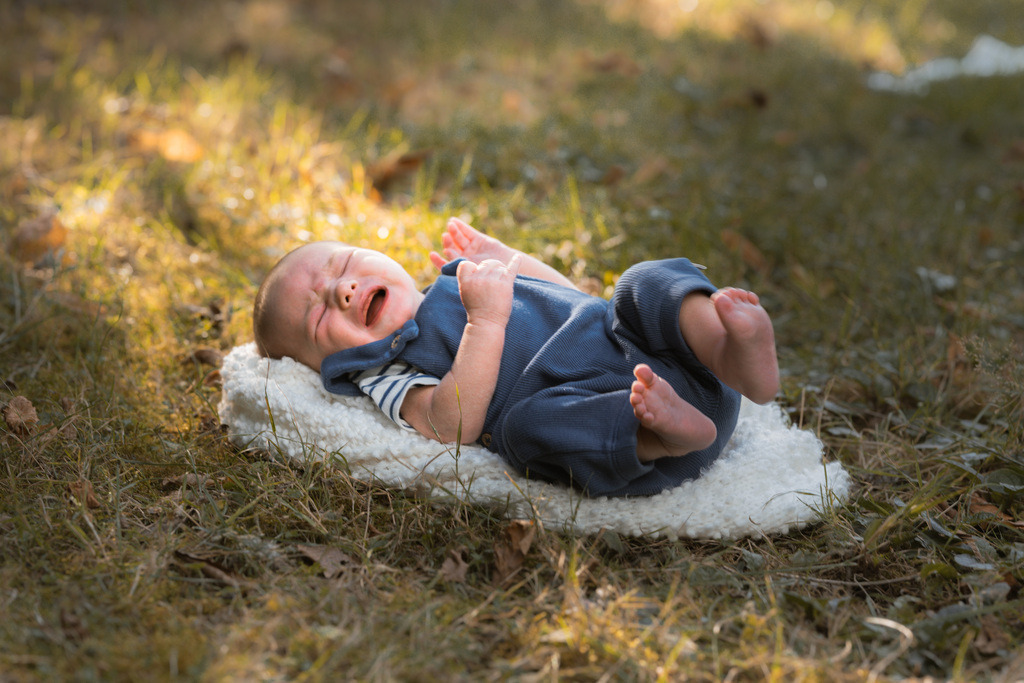ZD260823181123 | Fotoshop von zweidimensional Fotografie. Ihr Fotograf im Aargau. Abzüge von Ihrem Fotobox Event bestellen.Abzüge von Ihrem Hochzeit bestellen.Abzüge von Ihrem Schulfotograf bestellen.