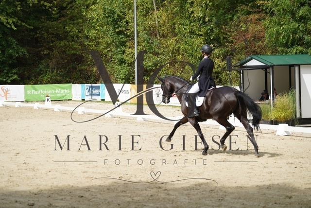 VAN02720 | Marie Giesen Fotografie - Realisiert mit Pictrs.com