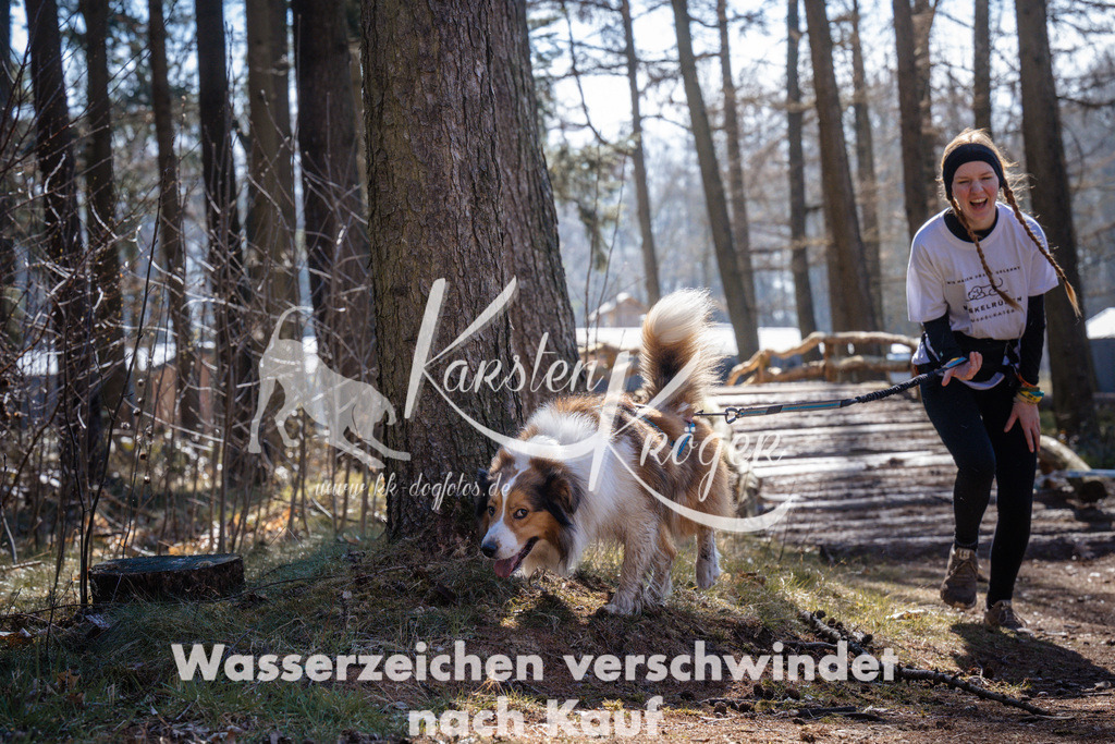 1156_ZZ90845 | kk-dogfotos