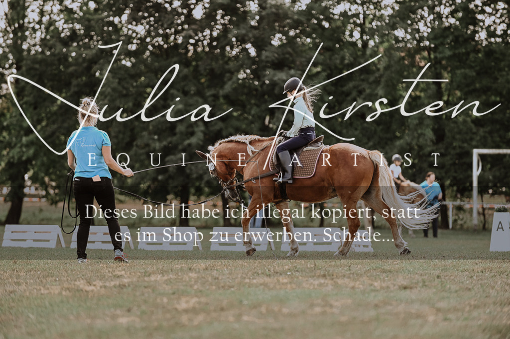 DSC_7574 | Pferde- und Turnierfotografie in Westsachsen. Pferdeportraits, Auftragszeichnungen und intuitive Kunst.