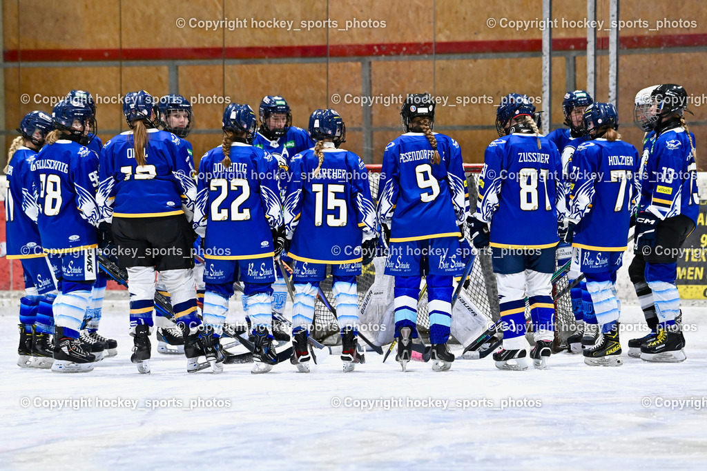 Wildcats Paternion vs. Lady Hawks  | Lady Hawks Mannschaft, Wildcats Paternion vs. Lady Hawks , Wildcats Paternion vs. Lady Hawks  am 27.01.2025 in Spittal an der Drau (Eissportzentrum Spittal), Austria, (Photo by Bernd Stefan)