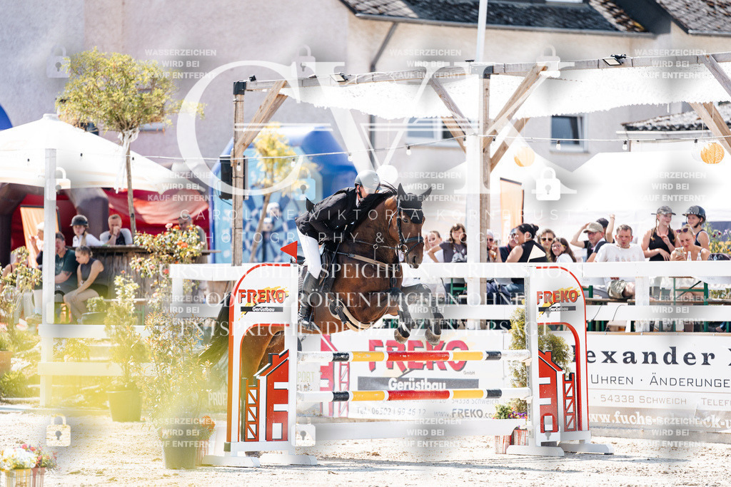CK909035 | Turnierfotografie Pferdefotografie Trier Rheinland-Pfalz Pferdesport Reitsport Tierfotografie Sportfotografie Pferdevideo Pferdevideografie Equestrianvideography equestrianphotography  - Realisiert mit Pictrs.com