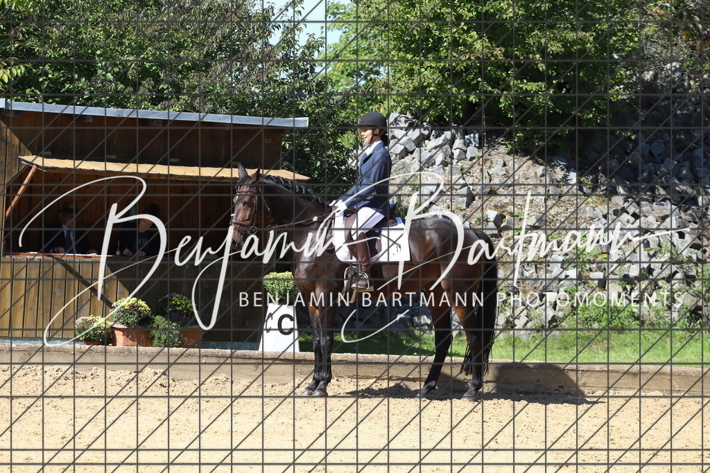 IMG_5910 | Benjamin Bartmann Photomoments