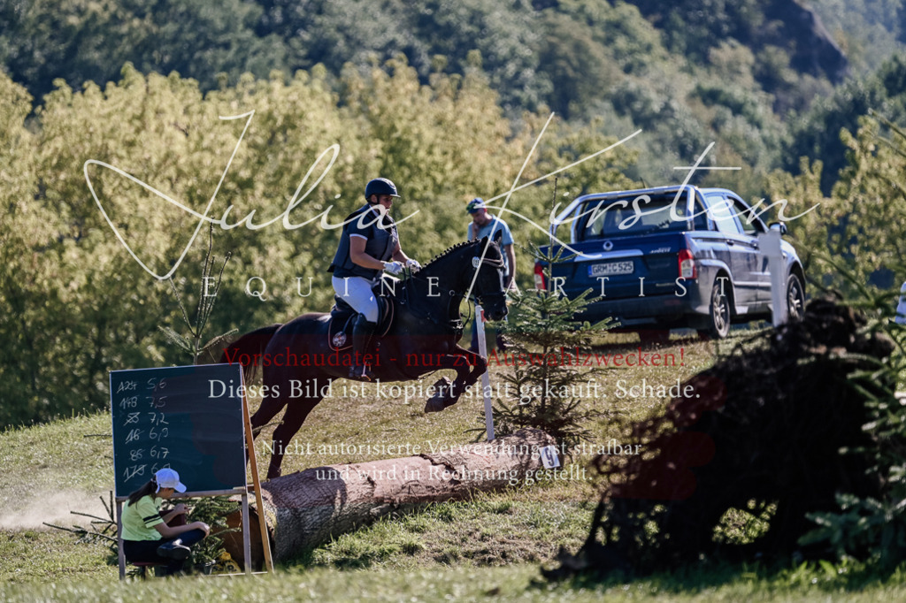 DSC_3316 | Pferde- und Turnierfotografie in Westsachsen. Pferdeportraits, Auftragszeichnungen und intuitive Kunst.