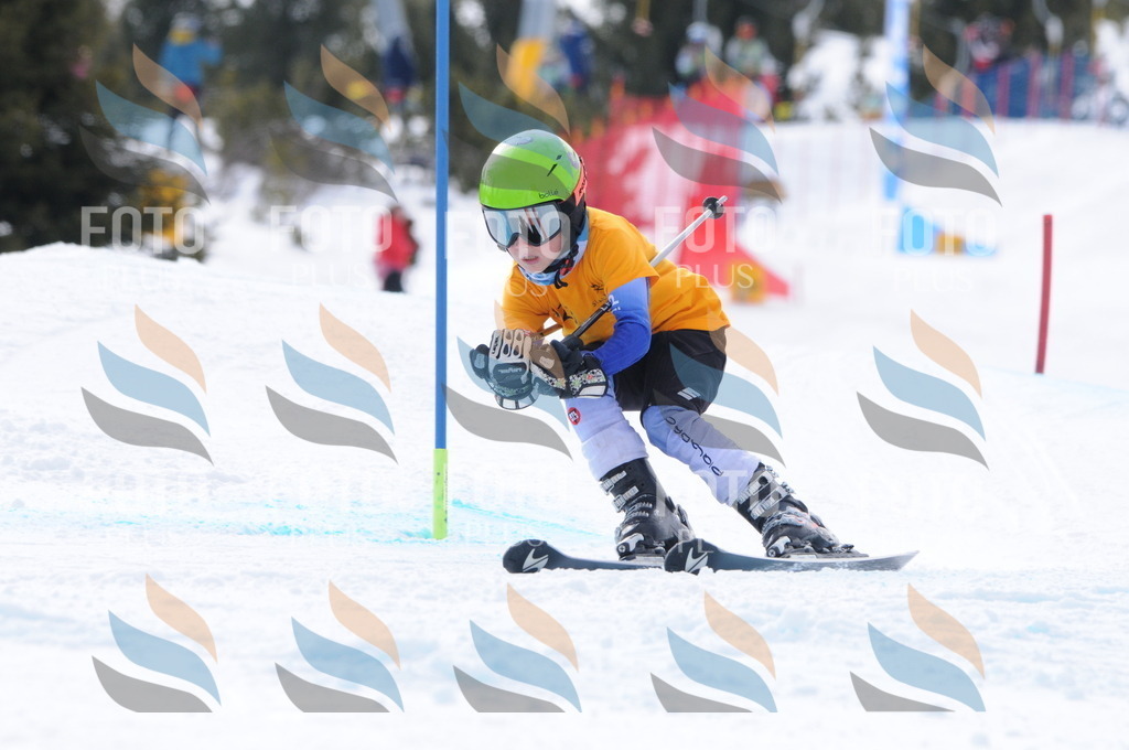 C7630 | holidayphoto