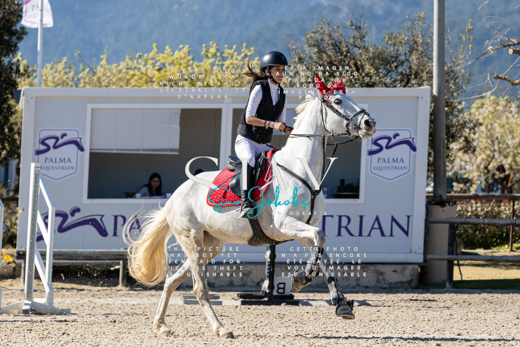 IMG_1068 | s-jay-photography - Realisiert mit Pictrs.com