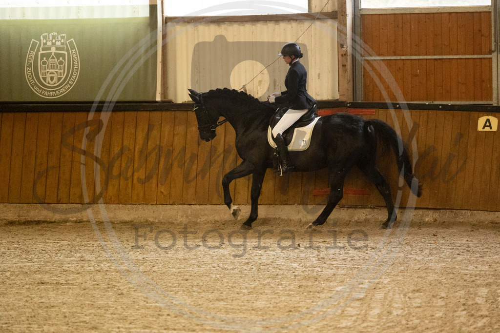 994A3354 | sabrinanicolaifotografie - Realisiert mit Pictrs.com