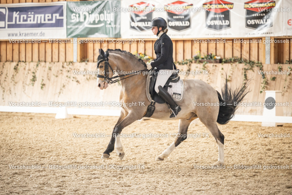 _D5A9107 | Emotionale Pferde- & People-Fotografie rund um Heidelberg, Leimen & Umgebung. Natürliche Fotos von Pferd, Mensch & Familie. Jetzt Termin sichern!