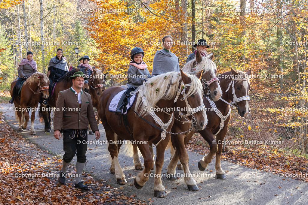 LL24-309 | foto-bettina-krinner - Realisiert mit Pictrs.com