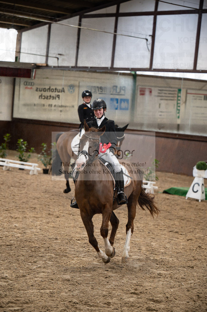 Hallenreittunier Voxtrup 2023 | Entdecke hochwertige Reitturnierfotos von Foto Oger. Professionell, emotional und authentisch – jetzt Lieblingsmomente im Shop bestellen.Deutschlandweite Turnierfotografie. - Realisiert mit Pictrs.com