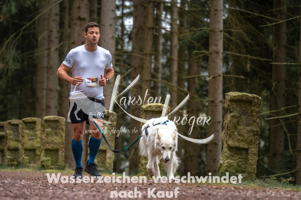 0809DZ6_3026 | kk-dogfotos