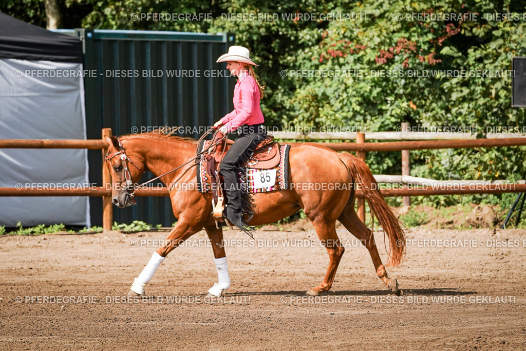 DSC09433 | Pferdegrafie